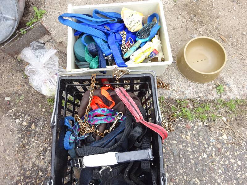 Large Lot of Dog Leashes, Collars, dishes and Dog stuff