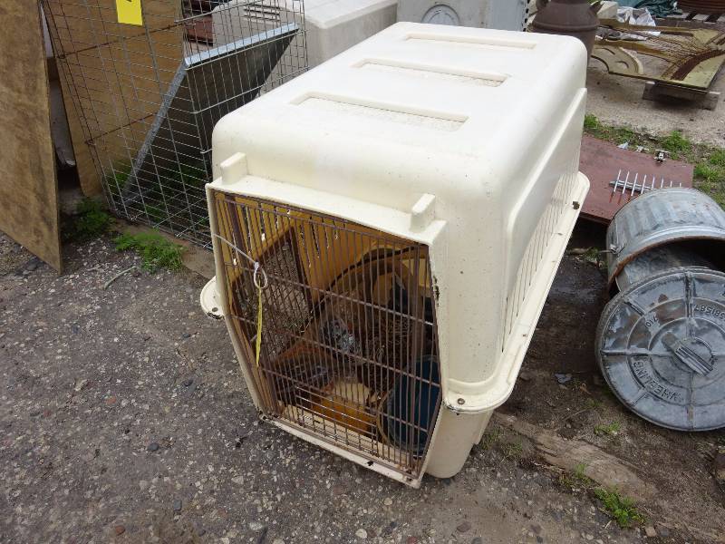 Large Kennel