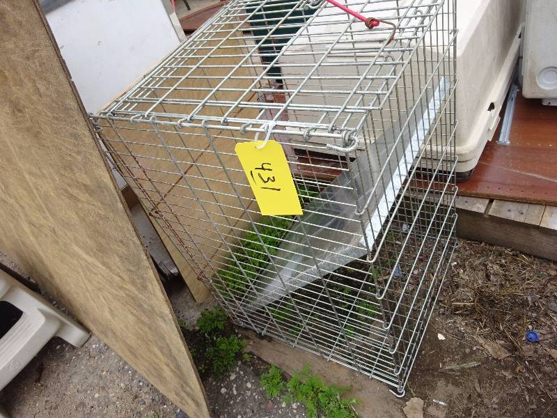 Large Cage