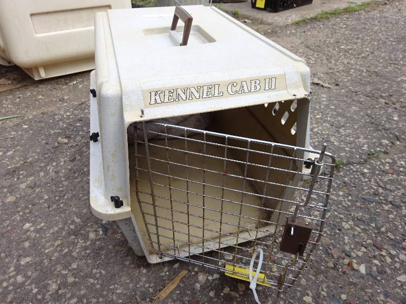 Small Kennel