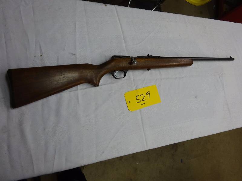 Savage Single Shot 22