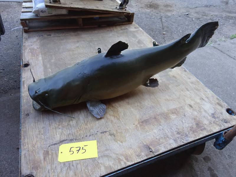 River Cat (Blue)