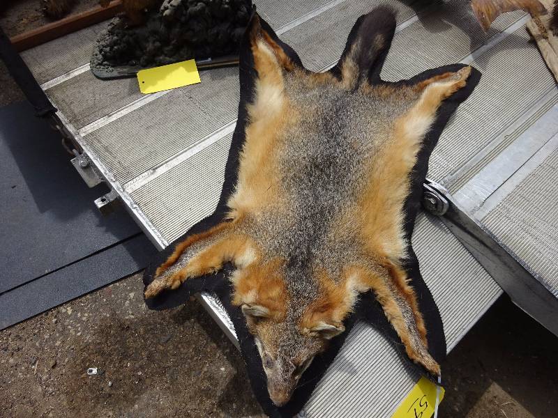 Fox Hiderug