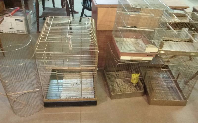 lot 17 image: Lot - Misc Cages