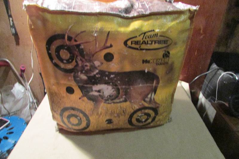 lot 43 image: Realtree Archery Target