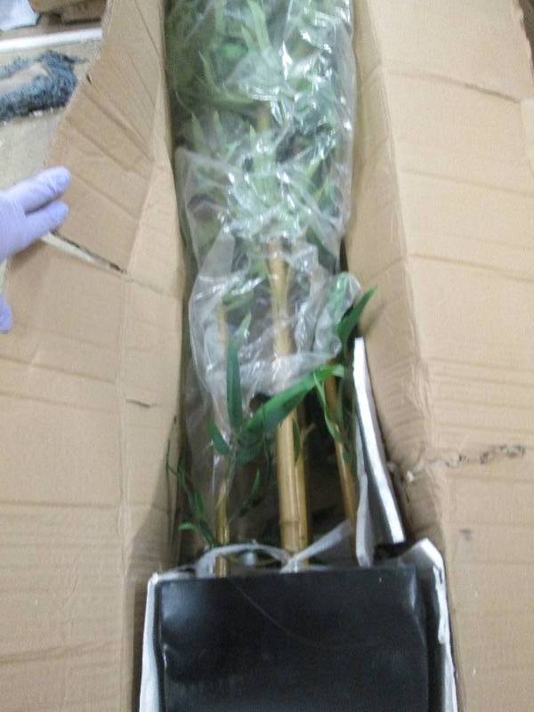 Bamboo Plant open box Retail $99.99...