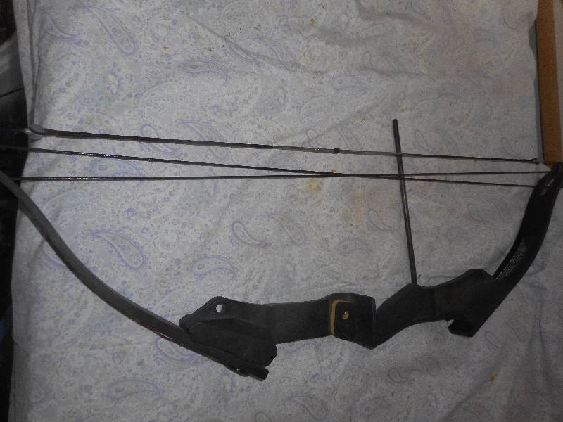 GOLDEN EAGLE BRAVE YOUTH BOW