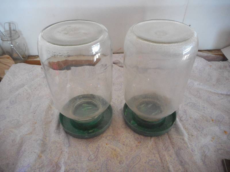 2 VINTAGE 1 GAL WATER FOR CHICKENS
