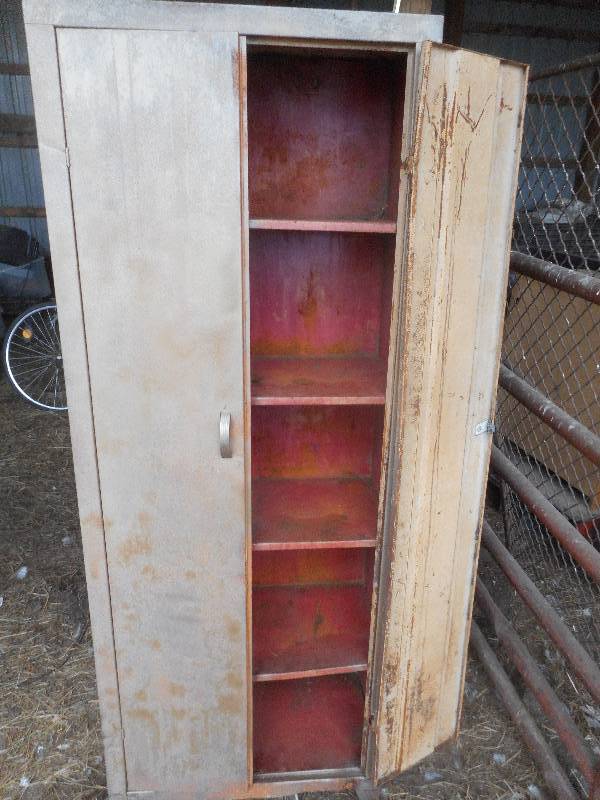 2 DOOR FIVE SHELF METAL CABNET