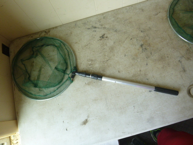 Telescoping MinnowButterfly Landing Net