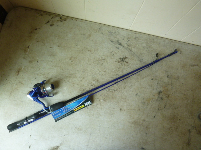 shakespeare firebird rod and reel