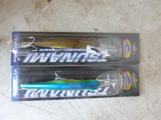 2 Tsunami Floating TS Mega Minnow Lures