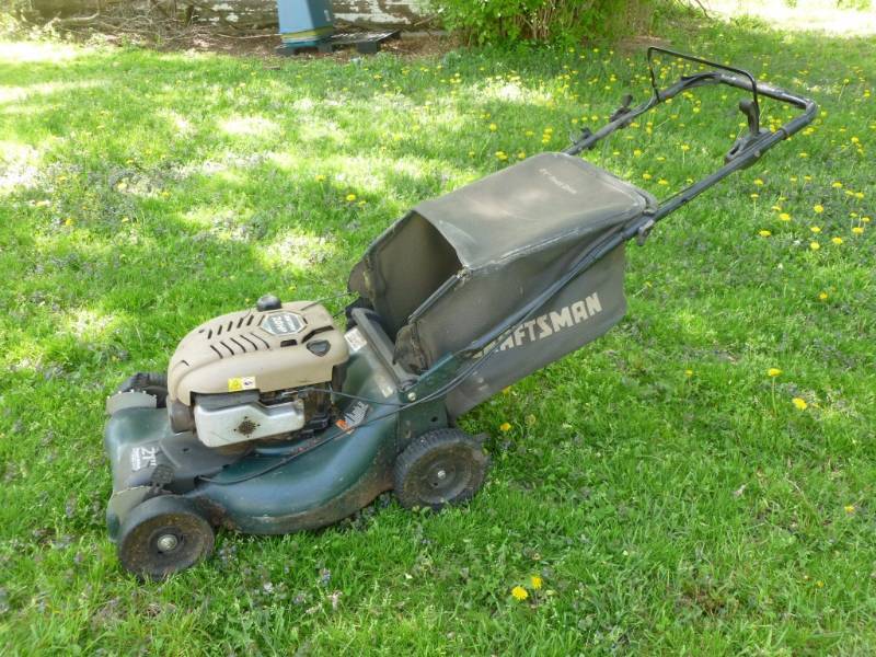 lot 5 image: Push Lawn Mower