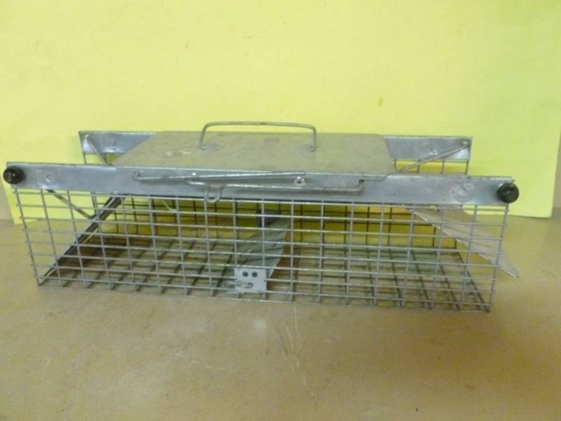 lot 113 image: Live Trap