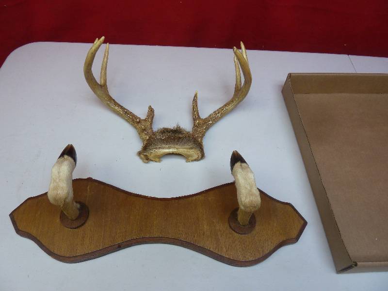 lot 720 image: Wildlife Lot