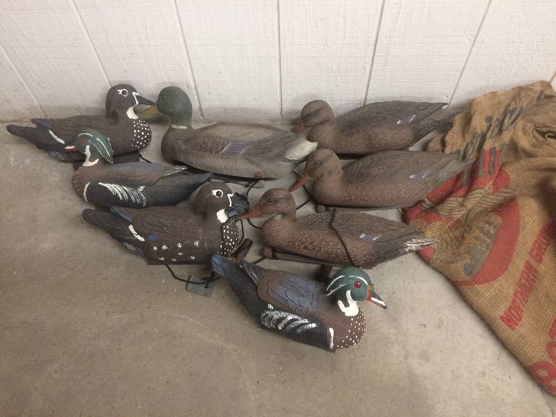 lot 31 image: Duck Decoys