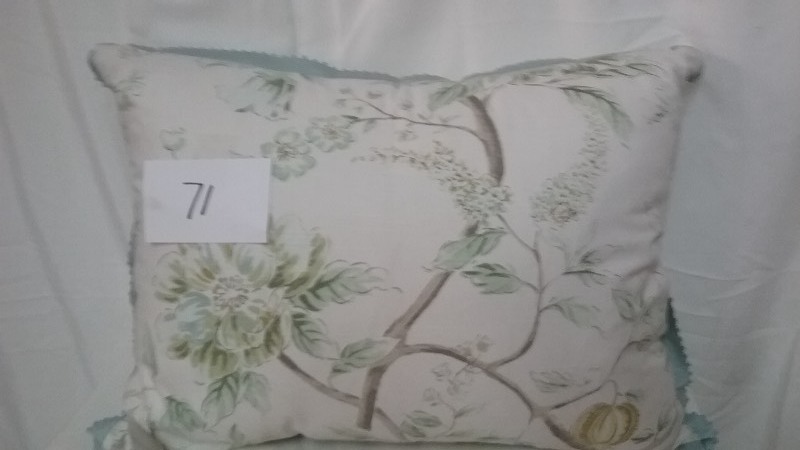 lot 71 image: Throw Pillow