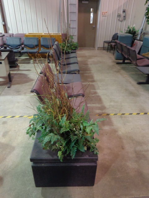 Chair and Planter Unit