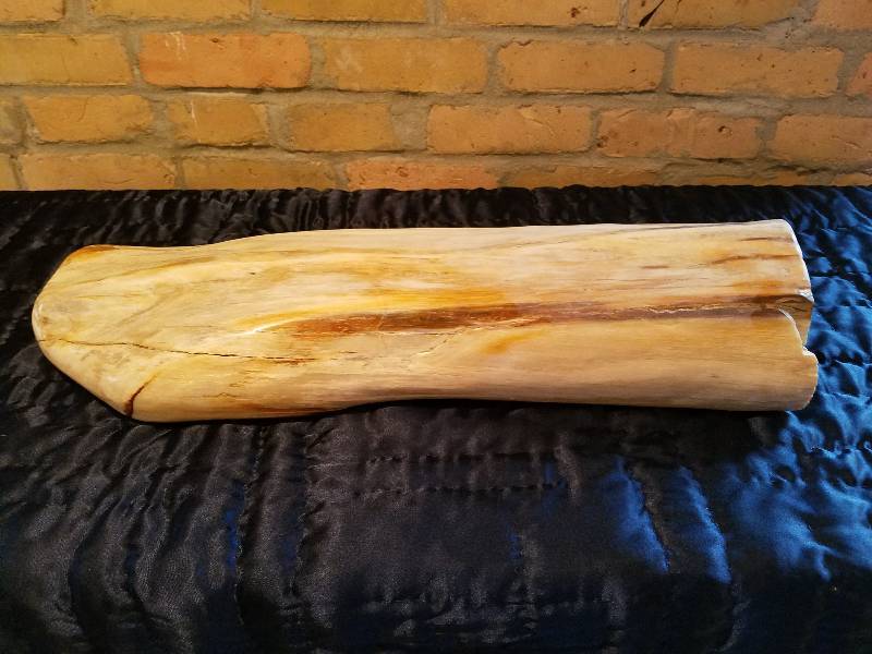 lot 21 image: Petrified Wood,Tremendous Coloring