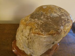 lot 29 image: Polished,Petrified Wood mounted on a Wood base