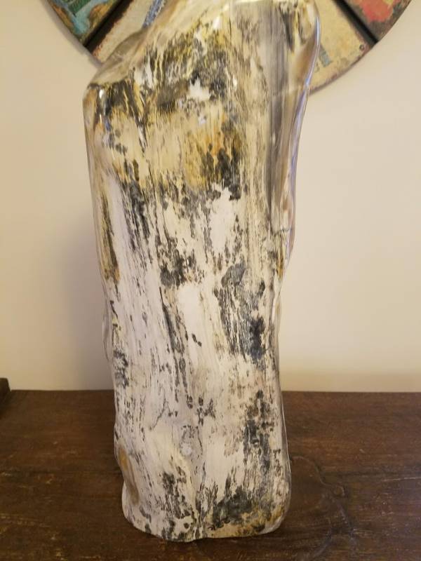 lot 28 image: Petrified Wood,Tri-colored
