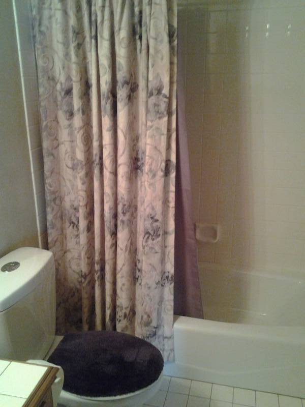 lot 100 image: Bathroom Shower Curtain, Purple Towels