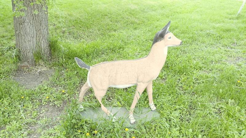 Large Deer Lawn Decoration