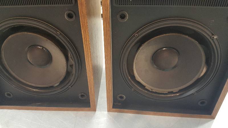 lot 3 image: BOSE 301 SERIES II-ROTTEN CONES