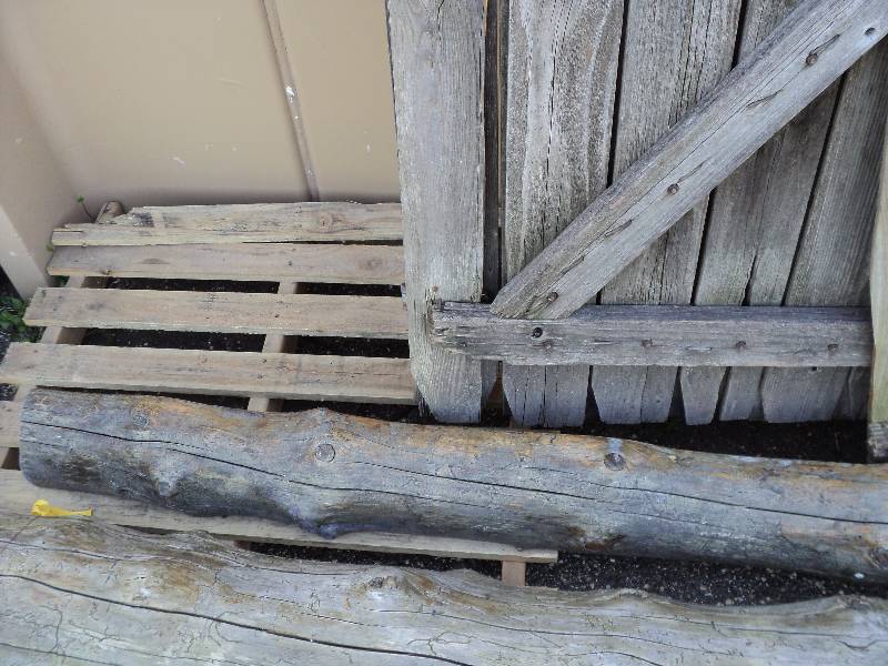 lot 32 image: 14 log 8ftx10inx6inthick...