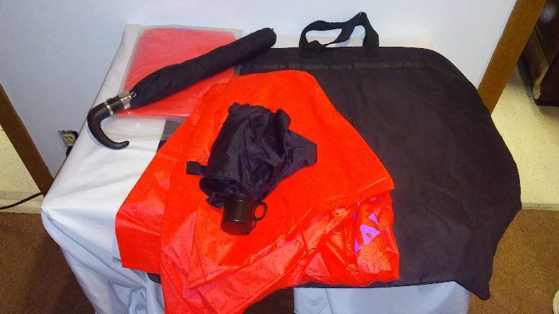 lot 60 image: Lake and Rain Weather Gear, Umbrellas (2), Rain Ponchos (2) and Jumbo Tote