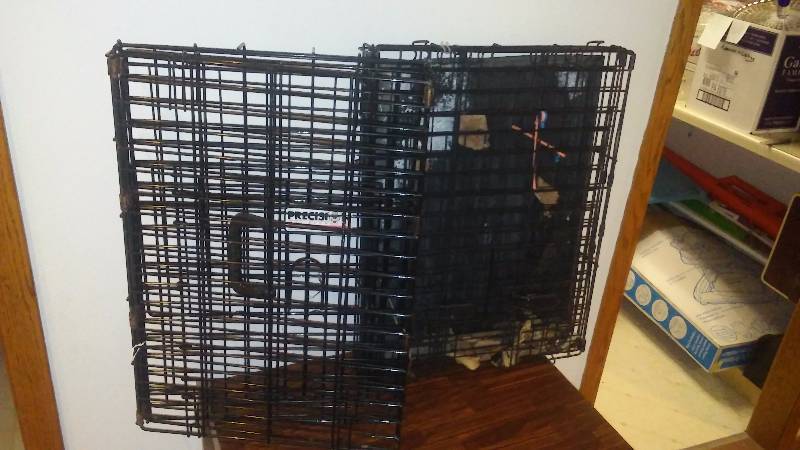 lot 138 image: Pet Kennels (2) One with bottom Tray one without, 24 x 16  by 20 inches