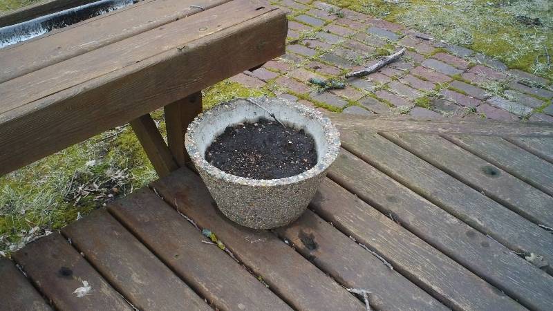 exposed aggregate planters