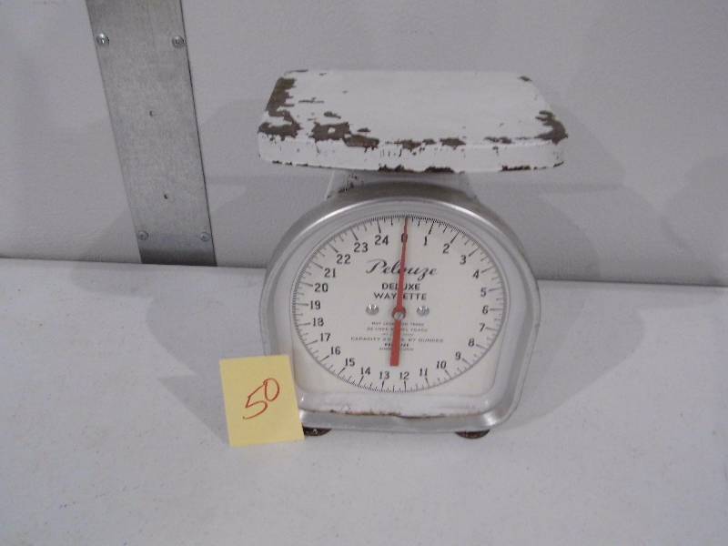 Scale