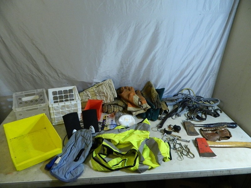lot 58 image: Hatchets, Bungees, Gloves, Etc