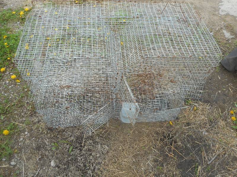 2 FULL SIZE RABBIT CAGES