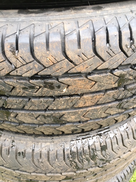 lot 11 image: Set of 4 - Firestone Tires