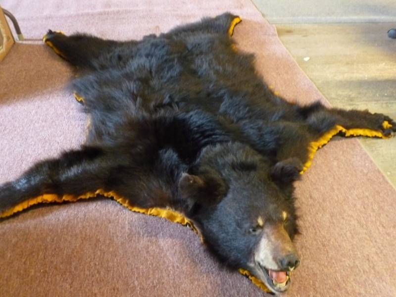 lot 2 image: Black Bear Rug