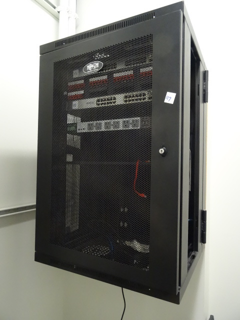 lot 117 image: Tripp Lite Wall Hanging Smart Rack