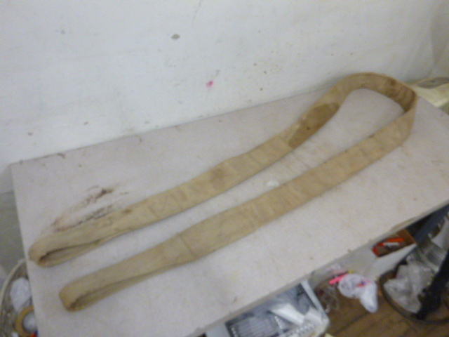 lot 16 image: T-Line SlingRecovery Strap