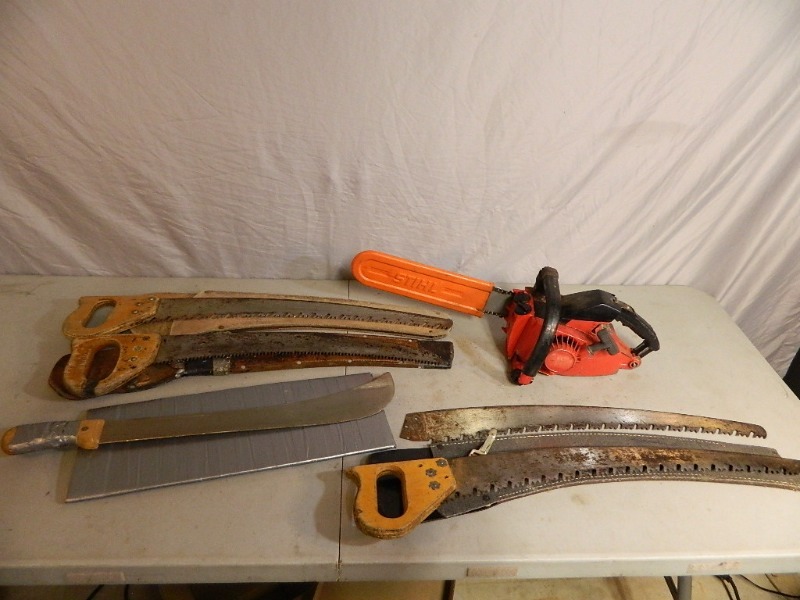 Chainsaw and Professional Tree Saws