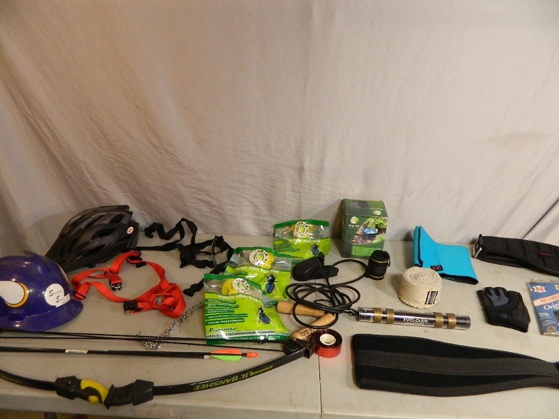 Gym, Pets, Sports, and Pest Items