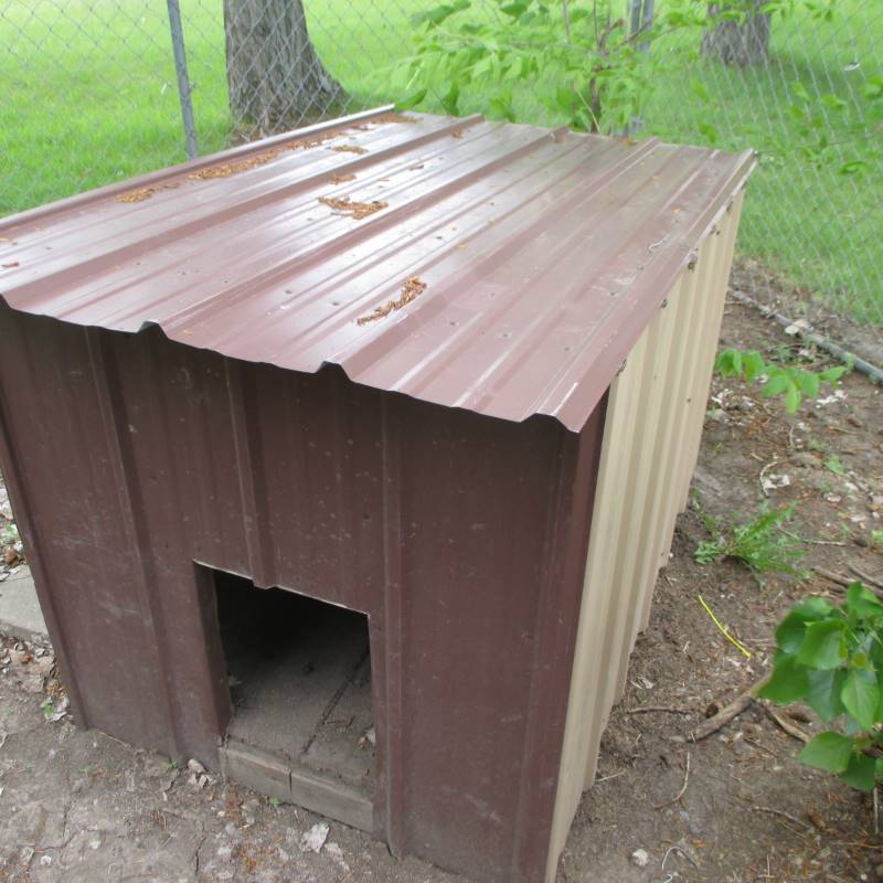 lot 5 image: Insulated Dog House