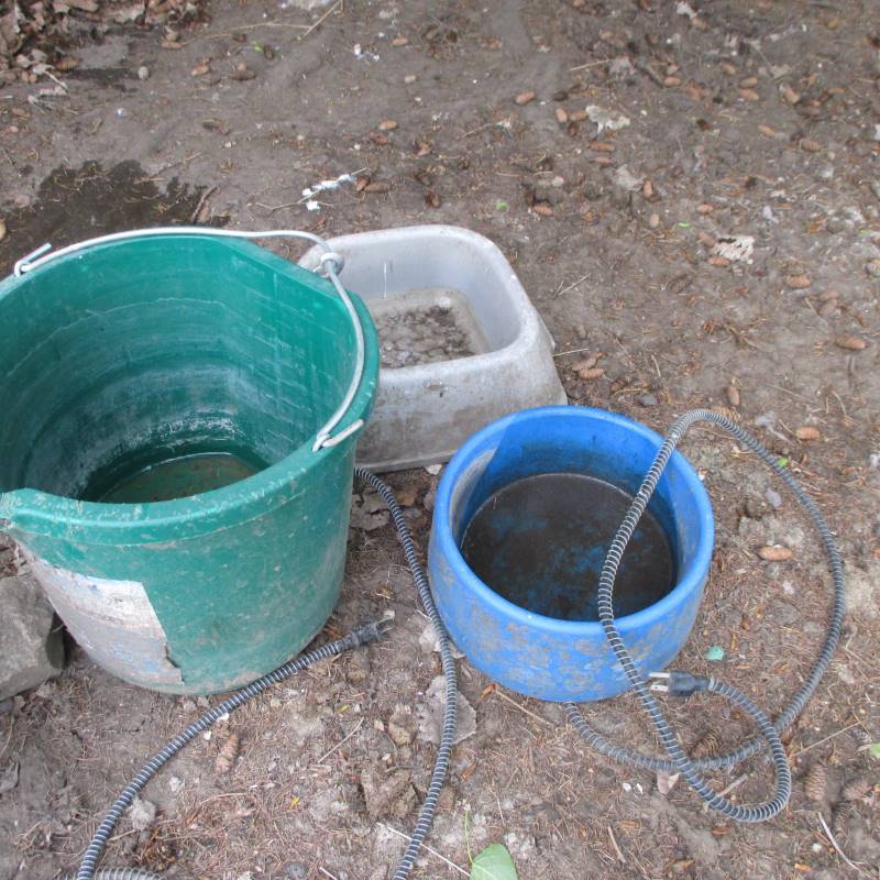 lot 6 image: Heated Dog Water Buckets & Dish, Heated Dog Pad