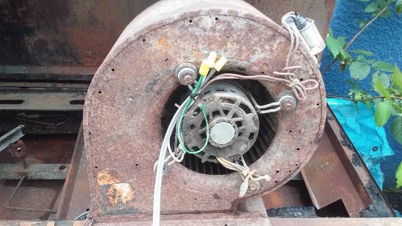 lot 185 image: 14 in. Squirrel Cage, Electric Motor Direct Drive, Works