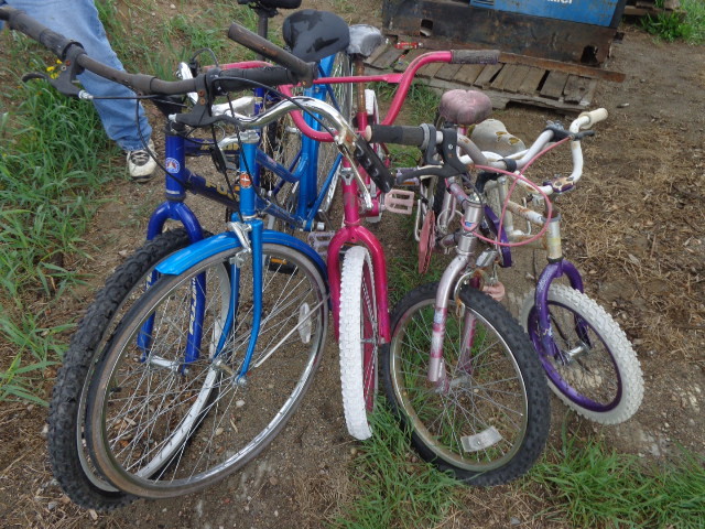 5 Bikes