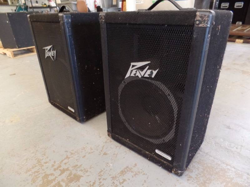 peavey 112dl speakers