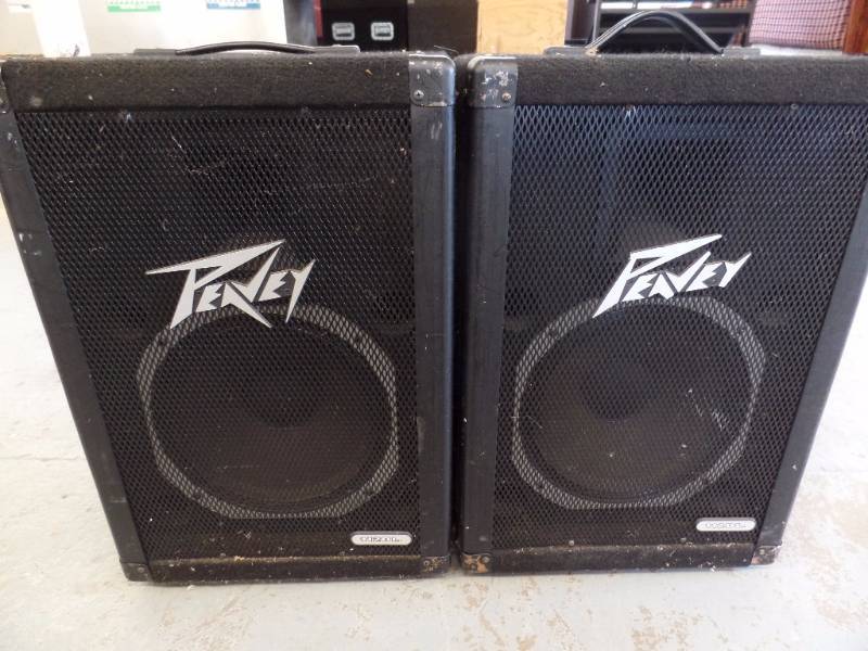 peavey 112dl speakers