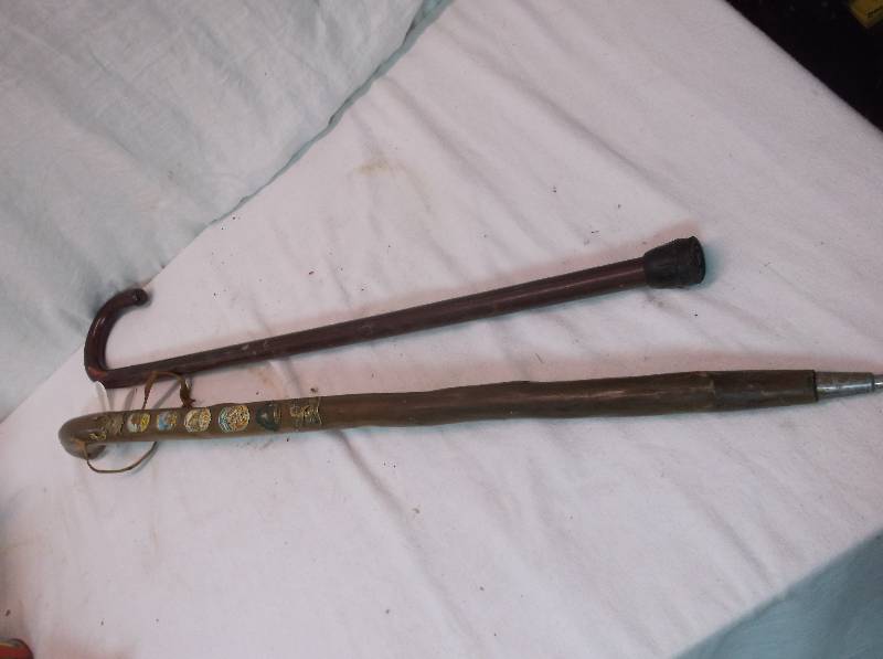 Walking Sticks