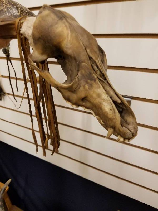 Native American Ceremonial Dance Staff,Coyote