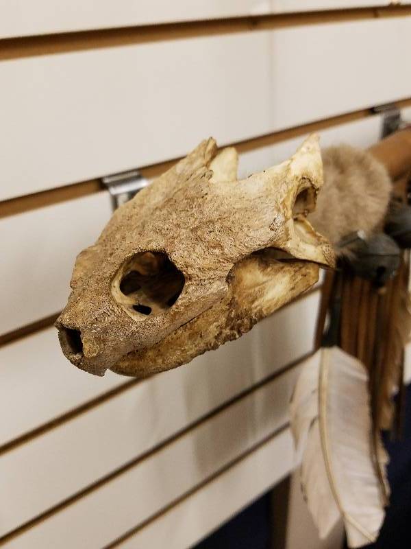 Native American Snapping Turtle, Ceremonial Dance Staff